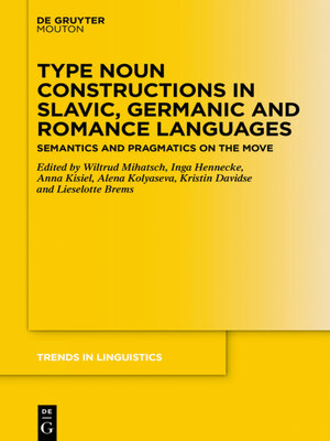cover image of Type Noun Constructions in Slavic, Germanic and Romance Languages